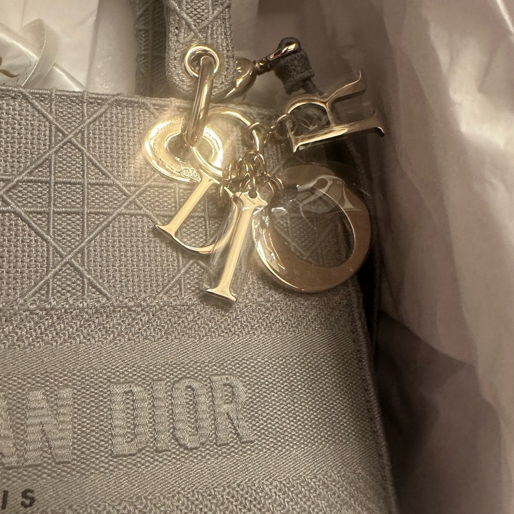 Dior Gray Tote Bag - Picture 5 of 9
